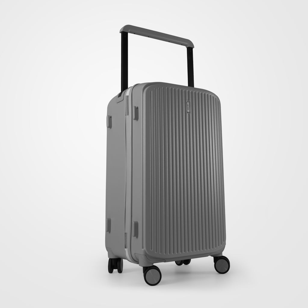 REO Modern Gray Luggage