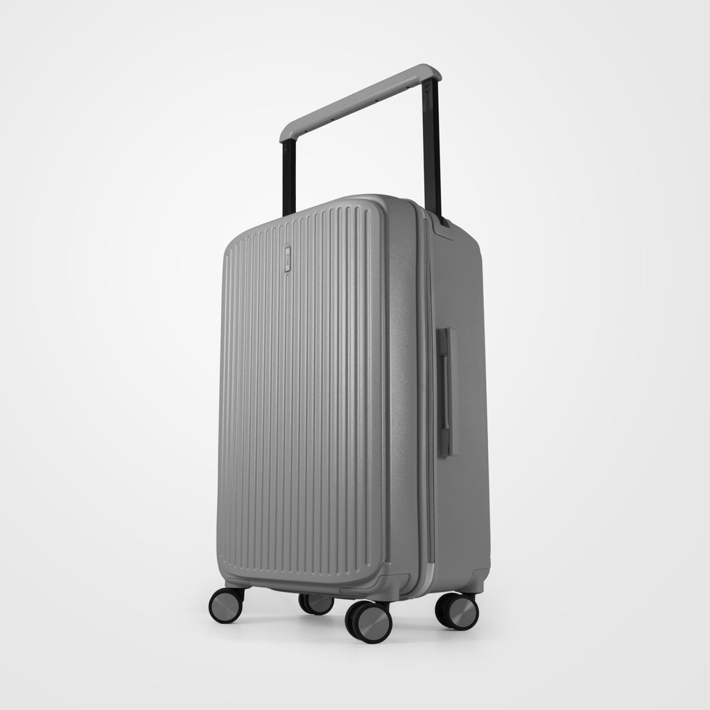 REO Modern Gray Luggage